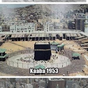 Meet your Posher, Mohammed